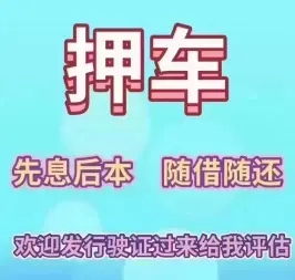 厦门押车贷款多少利息